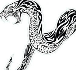 Snake tattoo